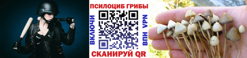 Псилоцибиновые грибы прущие грибы  Купить закладки  Кимовск 